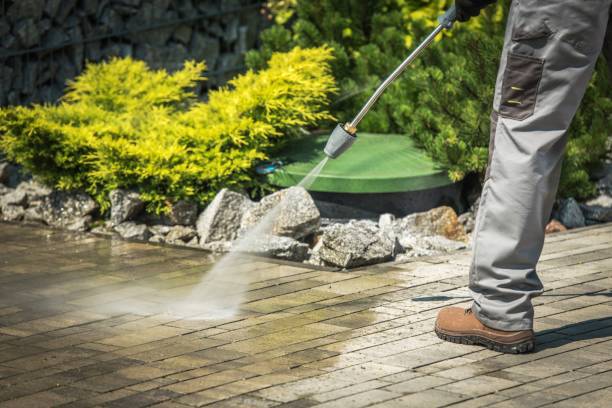 Best Pre-Holiday Cleaning  in Tool, TX